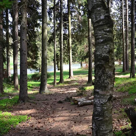 Zlote W Gorach Stolowych